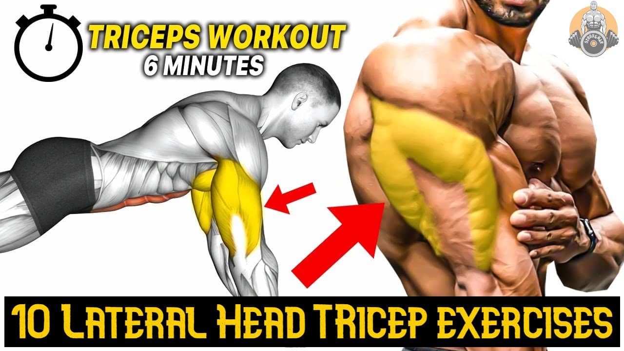 lateral head muscle tricep exercises