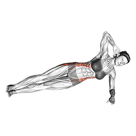 exercises for obliques