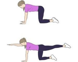 How to Do the Bird Dog Exercise: Abs Workout