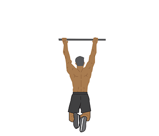 pull-ups; back workout