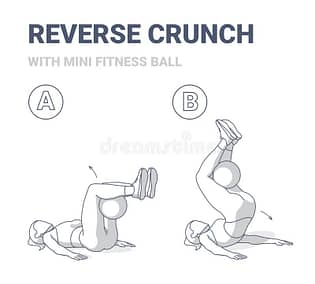 Reverse Medicine Ball Crunch