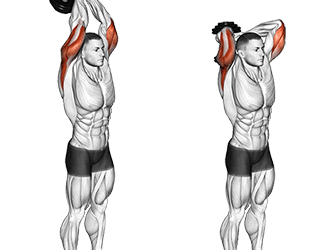 Dumbbell Overhead Triceps Extension.