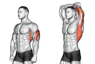 OVERHEAD TRICEPS STRETCH