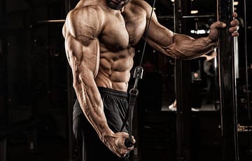 Top 6 Effective And Advanced Level Of Triceps Workout For Mass.