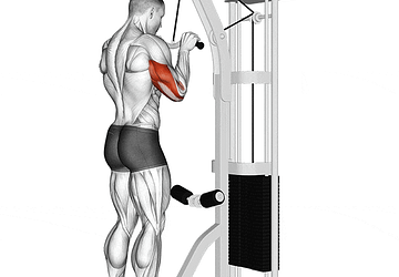 How to Do Tricep Pushdowns: Proper Form, Variations, and Common Mistakes.