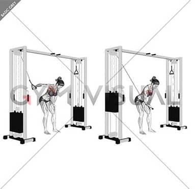 CABLE SINGLE ARM BENT OVER PEC FLY