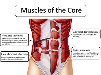 anatomy of core