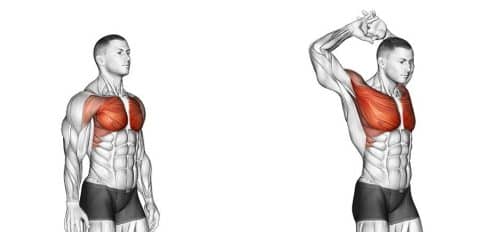 Chest Stretch exercise