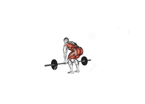 deadlift: back and legs workout