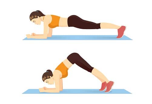 dolphin plank