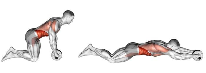 ab wheel roller exercise