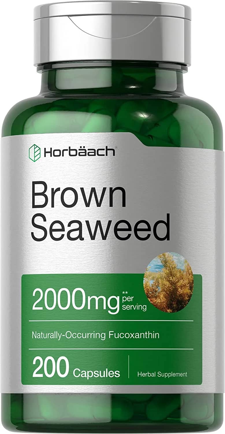 horbaach brown seaweed